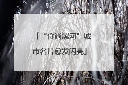 “食尚漯河”城市名片愈发闪亮