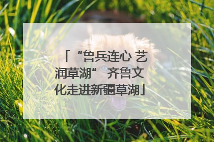 “鲁兵连心 艺润草湖” 齐鲁文化走进新疆草湖