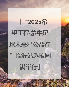 “2025希望工程·蒙牛足球未来星公益行”临沂站选拔圆满举行