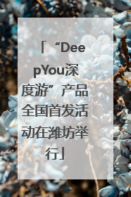 “DeepYou深度游”产品全国首发活动在潍坊举行