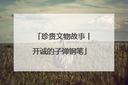 珍贵文物故事丨开诚的子弹钢笔