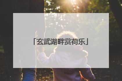 玄武湖畔赏荷乐
