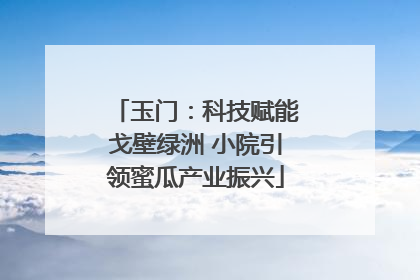 玉门：科技赋能戈壁绿洲 小院引领蜜瓜产业振兴
