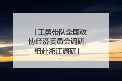 王勇带队全国政协经济委员会调研组赴浙江调研