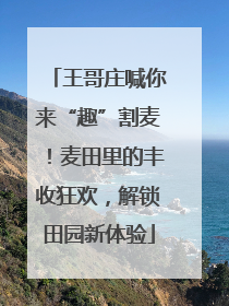 王哥庄喊你来“趣”割麦！麦田里的丰收狂欢，解锁田园新体验