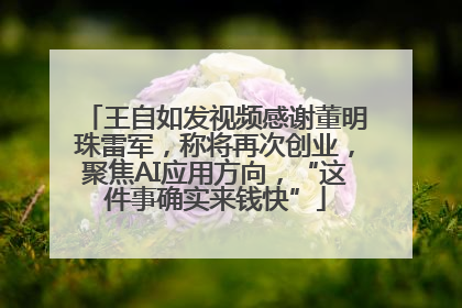 王自如发视频感谢董明珠雷军，称将再次创业，聚焦AI应用方向，“这件事确实来钱快”