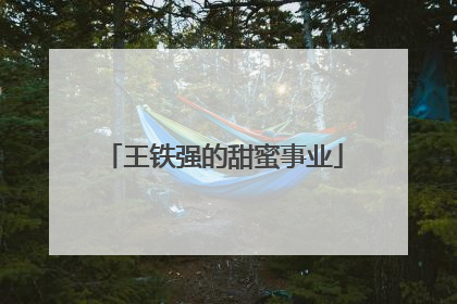 王铁强的甜蜜事业