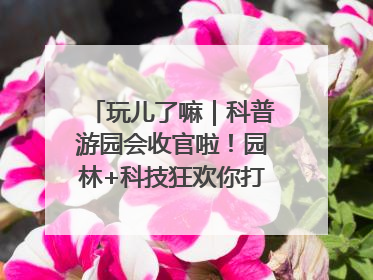 玩儿了嘛｜科普游园会收官啦！园林+科技狂欢你打卡了吗？