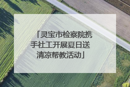 灵宝市检察院携手社工开展夏日送清凉帮教活动