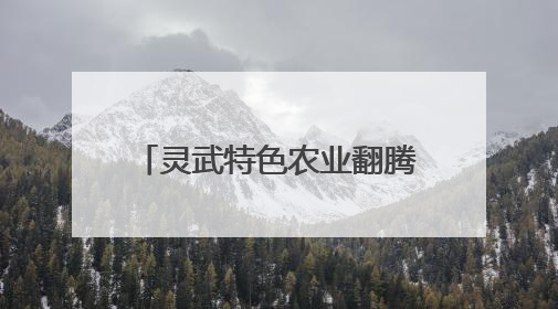 灵武特色农业翻腾振兴“致富浪”