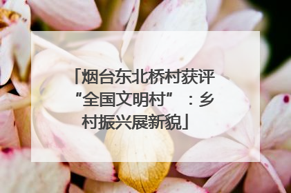 烟台东北桥村获评“全国文明村”：乡村振兴展新貌