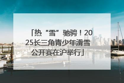 热“雪”驰骋！2025长三角青少年滑雪公开赛在沪举行