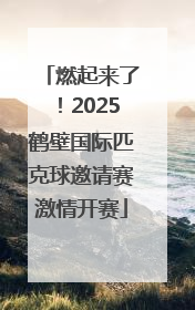 燃起来了！2025鹤壁国际匹克球邀请赛激情开赛