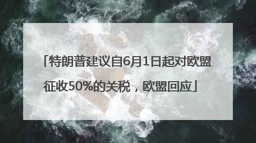 特朗普建议自6月1日起对欧盟征收50%的关税，欧盟回应