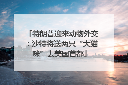 特朗普迎来动物外交：沙特将送两只“大猫咪”去美国首都