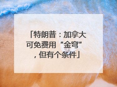 特朗普：加拿大可免费用“金穹”，但有个条件