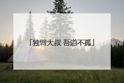 独臂大叔 吾道不孤