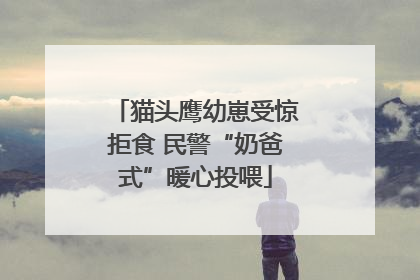猫头鹰幼崽受惊拒食 民警“奶爸式”暖心投喂