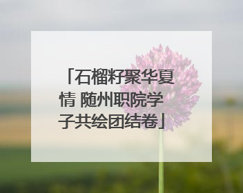 石榴籽聚华夏情 随州职院学子共绘团结卷