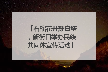 石榴花开耀白塔，新街口举办民族共同体宣传活动