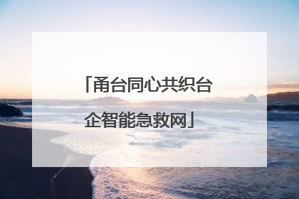 甬台同心共织台企智能急救网