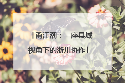 甬江潮：一座县域视角下的浙川协作