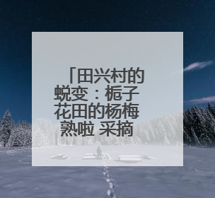 田兴村的蜕变：栀子花田的杨梅熟啦 采摘节让乡村热闹起来