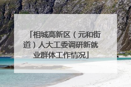 相城高新区（元和街道）人大工委调研新就业群体工作情况