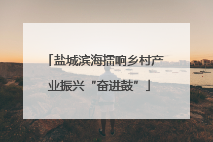 盐城滨海擂响乡村产业振兴“奋进鼓”