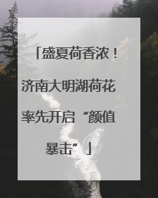 盛夏荷香浓！济南大明湖荷花率先开启“颜值暴击”