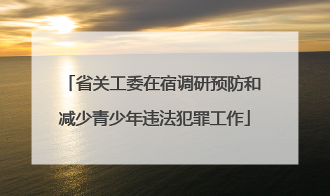 省关工委在宿调研预防和减少青少年违法犯罪工作