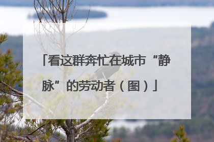 看这群奔忙在城市“静脉”的劳动者（图）