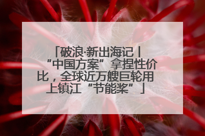 破浪·新出海记丨 “中国方案”拿捏性价比，全球近万艘巨轮用上镇江“节能桨”