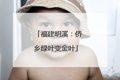 福建明溪：侨乡绿叶变金叶