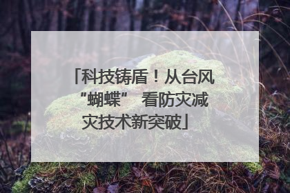 科技铸盾！从台风“蝴蝶” 看防灾减灾技术新突破