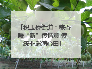积玉桥街道：粽香暖“新”传情意 传统非遗润心田