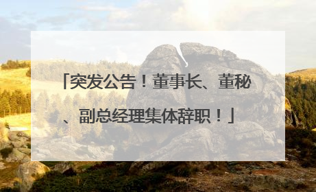 突发公告！董事长、董秘、副总经理集体辞职！