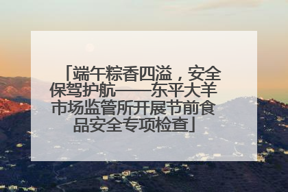 端午粽香四溢，安全保驾护航——东平大羊市场监管所开展节前食品安全专项检查