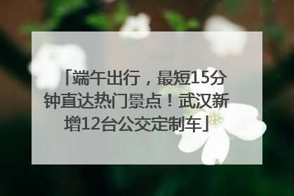 端午出行，最短15分钟直达热门景点！武汉新增12台公交定制车