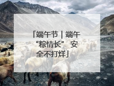 端午节｜端午“粽情长” 安全不打烊