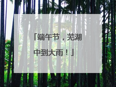 端午节，芜湖中到大雨！