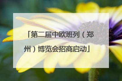 第二届中欧班列（郑州）博览会招商启动