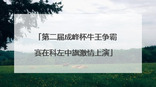 第二届成峰杯牛王争霸赛在科左中旗激情上演