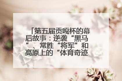 第五届贡嘎杯的幕后故事：逆袭“黑马”、常胜“将军”和高原上的“体育奇迹”丨微纪录