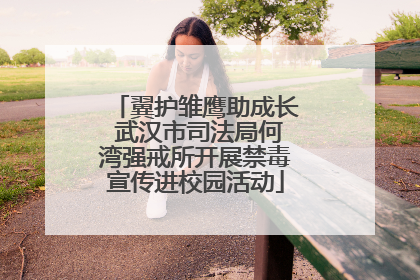 翼护雏鹰助成长 武汉市司法局何湾强戒所开展禁毒宣传进校园活动