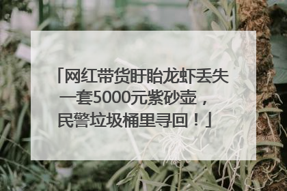 网红带货盱眙龙虾丢失一套5000元紫砂壶，民警垃圾桶里寻回！