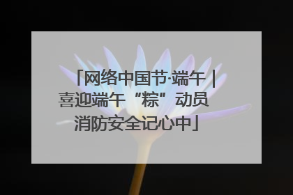 网络中国节·端午｜喜迎端午“粽”动员 消防安全记心中