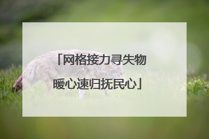 网格接力寻失物 暖心速归抚民心
