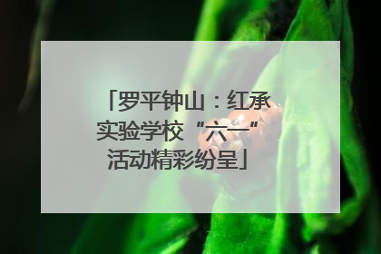 罗平钟山：红承实验学校“六一”活动精彩纷呈