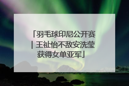 羽毛球印尼公开赛｜王祉怡不敌安洗莹 获得女单亚军